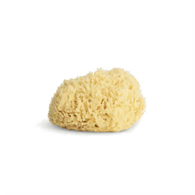 Sevin London Honeycomb Sponge Baby Size